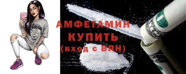 гашик Сосновка