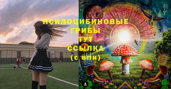 2c-b Волосово