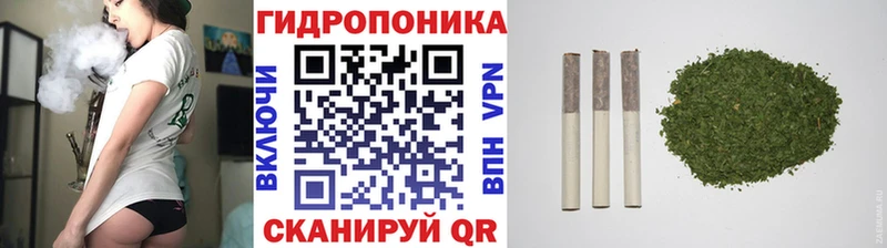 где купить   Змеиногорск  Канабис Ganja 